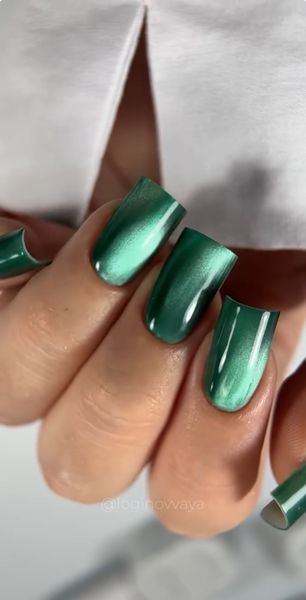 Saga Professional Gel polish WINE CAT №10, 10 мл фото