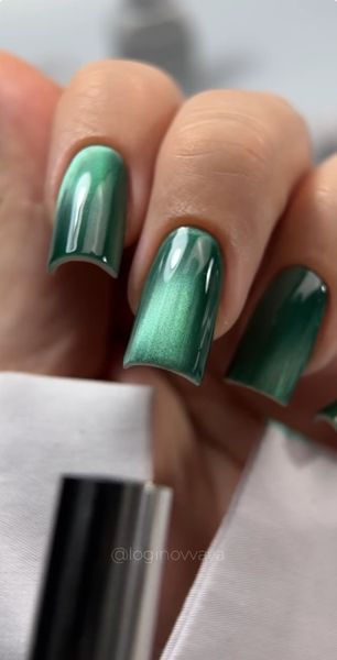 Saga Professional Gel polish WINE CAT №10, 10 мл фото