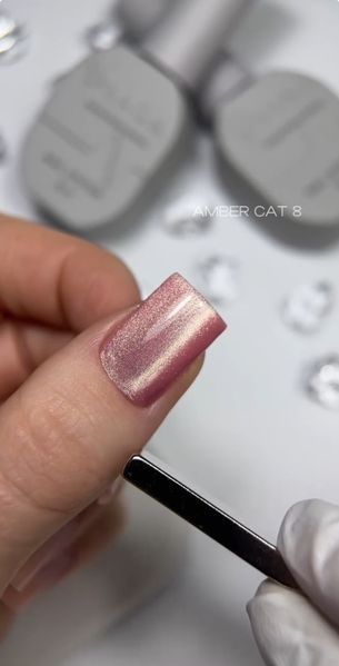 Saga Professional Gel polish Amber Cat №08, 10 мл фото