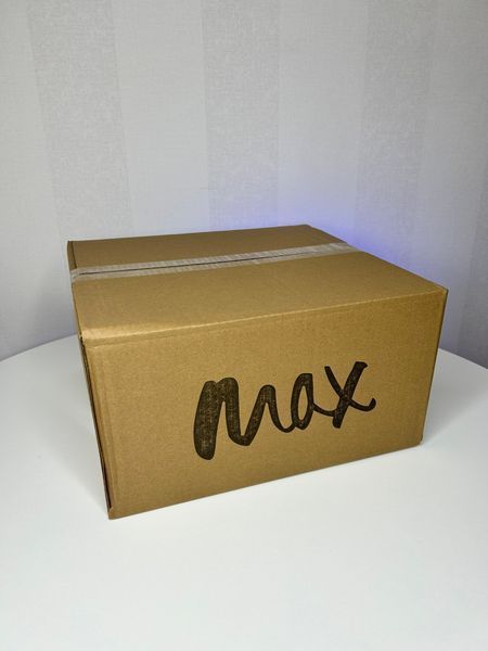 Витяжка для манікюру MAX Ultimate 4 100 W White (Мішкова) Витяжка для манікюру MAX Ultimate 4 100 W White (Мішкова) фото